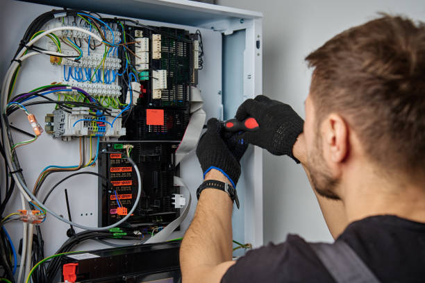 Licensed Electrical Panel Upgrade service in Edmore, MI - No Joke electrician